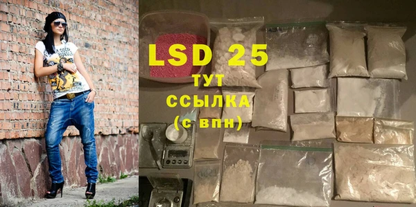 ПСИЛОЦИБИНОВЫЕ ГРИБЫ Балабаново
