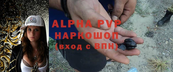 ПСИЛОЦИБИНОВЫЕ ГРИБЫ Балабаново
